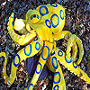 play Colorful Octopus Slide Puzzle