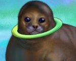 play My Sweet Seal