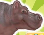 play Hungry Hippo