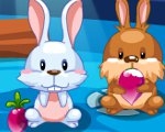 play My Sweet Bunny