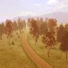 play Forest Race