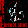 play Perfect Shot