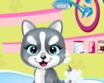 play Pets' Beauty Salon