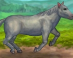 play Pet My Horse