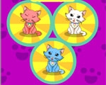 play Kitten Spot