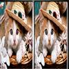 play Pet Animals Spot The Difference