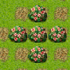 play Gardening 101