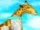 play Giraffe Zoo