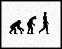 play Human Evolution