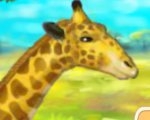 play Giraffe Zoo