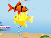 play Dream Aquarium