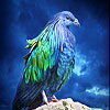 play Lovely Blue Bird Slide Puzzle
