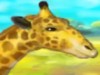 play Giraffe Zoo