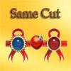 play Same Cut