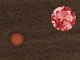 play Arcaneoid