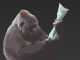 play Gorilla