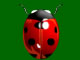 play Bug In Trouble