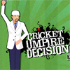 play Cricket Umpire Decision