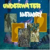 play Underwater Memory