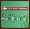play Swine Flu Exterminator