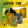 play Match The Insect