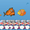 play Fish Feed Maze