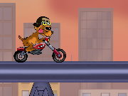 play Dog N Roll