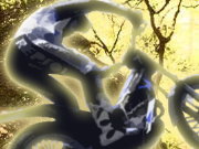 play Trail Bike Master