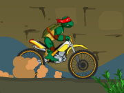play Ninja Turtle Bike