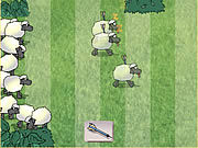 play Sheep Dash