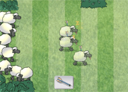 play Sheep Dash