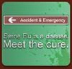 play Swine Flu Exterminator