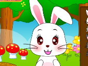 play Cute Bunny