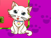 play Kitten Spot
