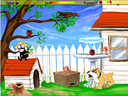 play Jacomo'S Backyard Madness