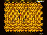 play Hive Trap