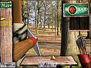 play Robin Hood Adventures