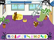 play Pet Academy