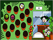 play The Florist
