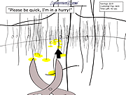 play Blazing Scissors