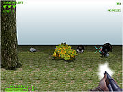 play Turkey Shootout 3D