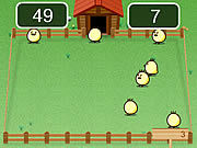 play Catch The Chicks