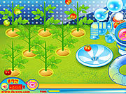 play Sue Tomato Factory