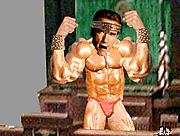 play Vote Arnie? (Arnold For President Of California)