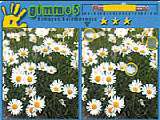 play Gimme 5