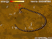 play Python