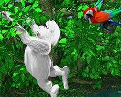 play Yeti Sports 8 - Jungle Swing