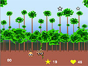 play Super Raccoon
