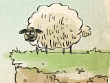 Home Sheep Home