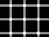 play 50 Optical Illusions